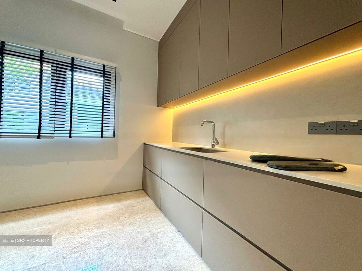 Cairnhill Circle (D9), Terrace #458596311